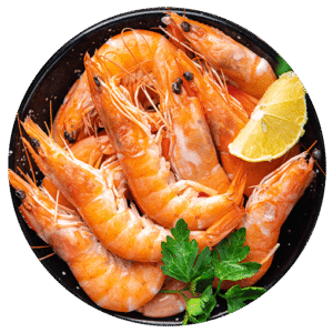 Shrimp Food Prawns